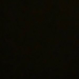 Meet your Posher, Vinni